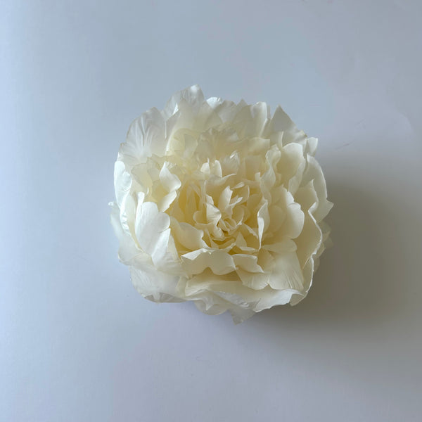 Classic Vintage Large Cream Peony Flower Hair Clip